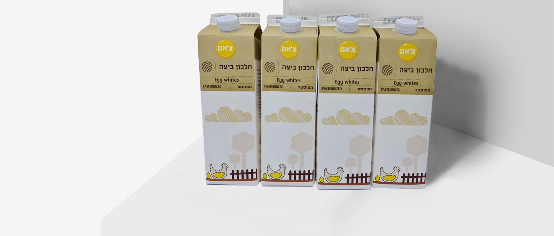 נוזל חלבון ביצה